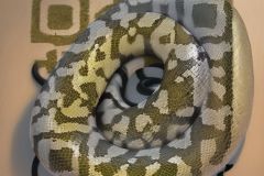 347